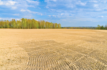 Time of sowing. Kaluga region, Russia © andrew