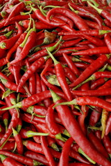 唐辛子　Red pepper