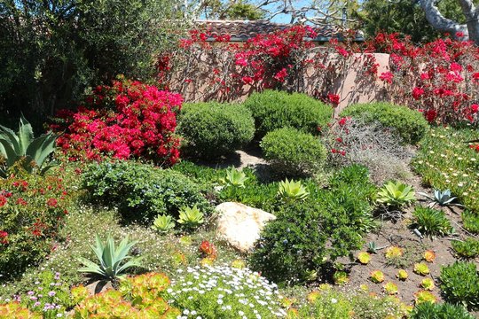 Garden in Malibu, California, USA