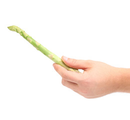 Hand holding fresh asparagus.