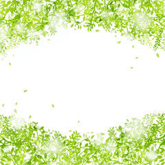 Obraz na płótnie Canvas 光りと緑の葉