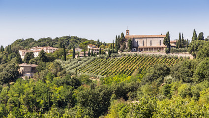 Fototapeta na wymiar Tuscany view, Italy