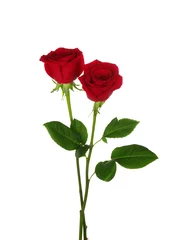 Crédence de cuisine en verre imprimé Roses two red rose