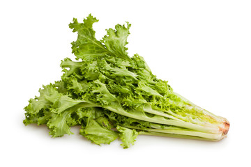 lettuce frisee
