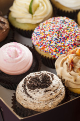 Assorted Fancy Gourmet Cupcakes with Frosting