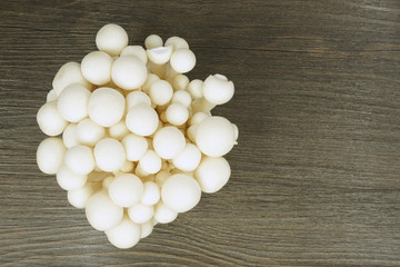 White fresh shimeji mushroom