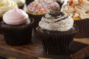 Assorted Fancy Gourmet Cupcakes with Frosting