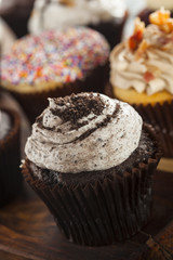 Assorted Fancy Gourmet Cupcakes with Frosting