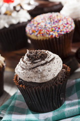 Assorted Fancy Gourmet Cupcakes with Frosting