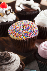 Assorted Fancy Gourmet Cupcakes with Frosting