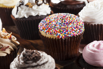 Assorted Fancy Gourmet Cupcakes with Frosting
