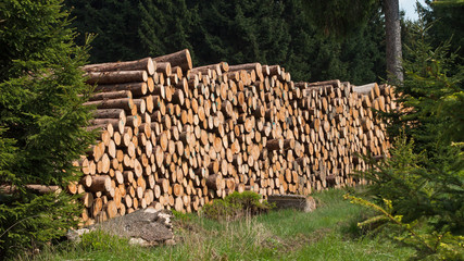 Forstwirtschaft im Mittelgebirge - Holzpolter im Harz