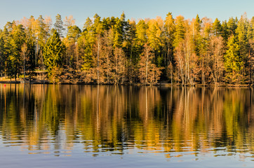 Idyllic forest lake