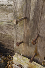 Old bolts in wooden plank