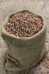 Raw buckwheat in canvas sack