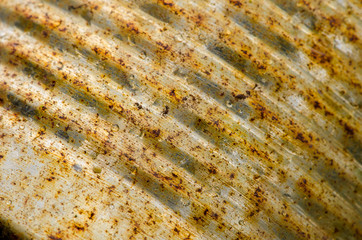 Rusty tin texture