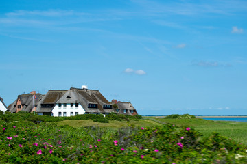 H&auml;user auf Sylt