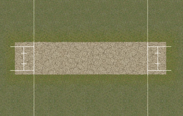 Cricket Pitch Top View