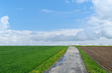 Fototapeta na wymiar Country road - agriculture landscape.