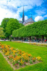 Cathédrale Notre-Dame de Paris