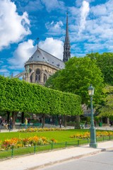Naklejka premium Cathédrale Notre-Dame de Paris