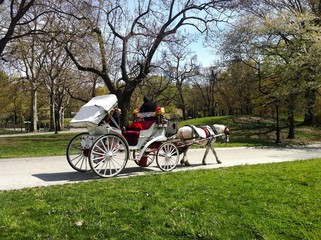 Horse carriage