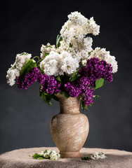 Blooming branches of lilac in vase