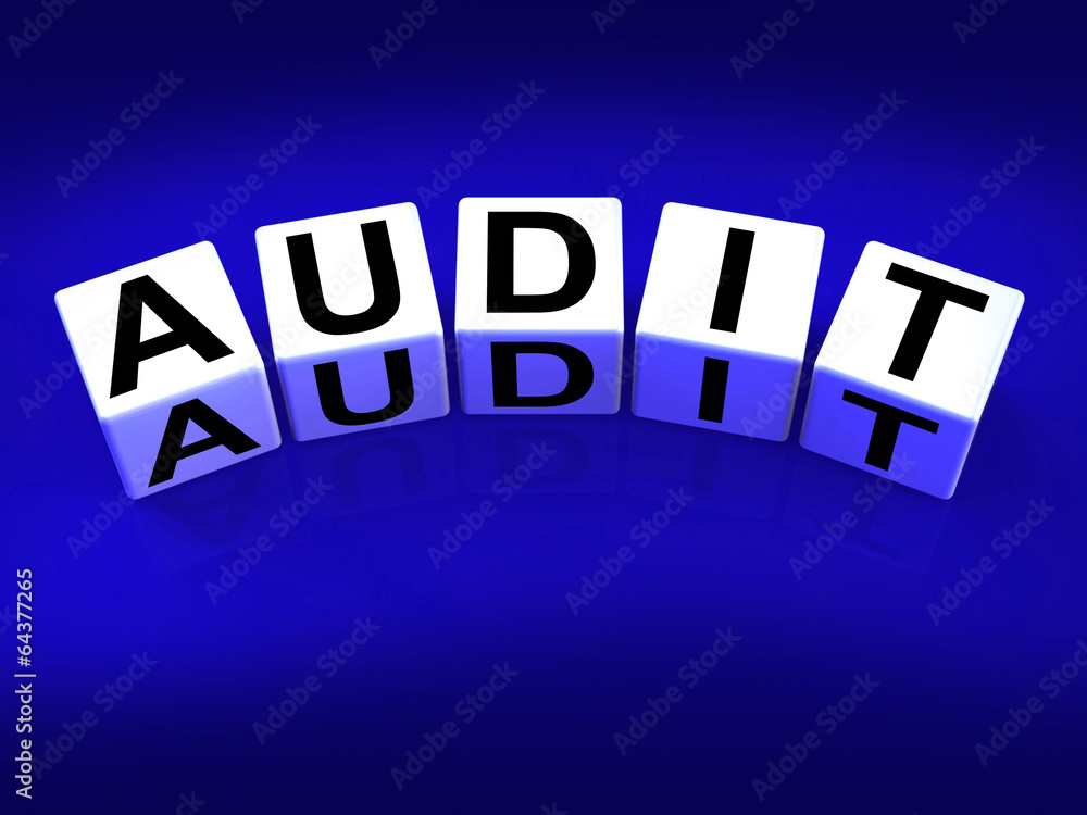 Poster audit blocks refer to investigation examination and scrutiny
