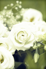 Bouquet of white roses