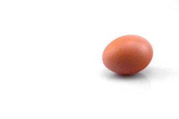 egg on white background