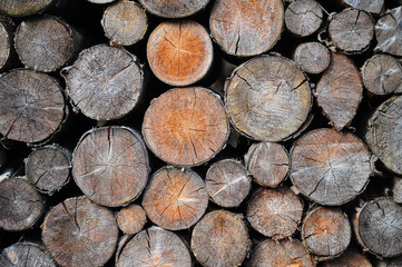 Stapel aus Fichtenholz