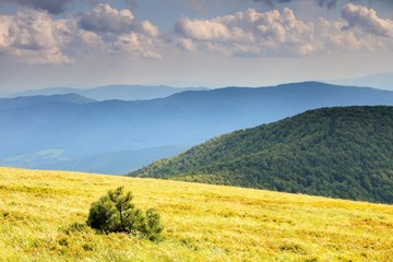 Nature. Field mountain landscape in the summer