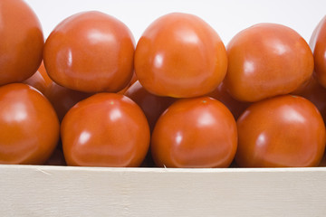 Two rows of tomatoes in crate
