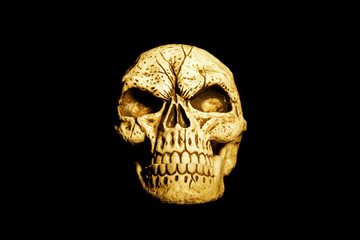 Orange Skull Isolated on Black