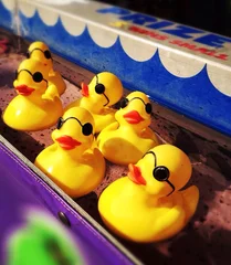 Tuinposter Carnival Game with Ducks © c.moulton