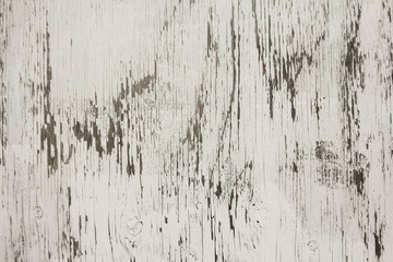 Whitewashed Plywood Background