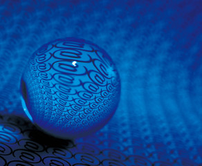 비즈니스 네트워크