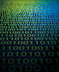 비즈니스 네트워크