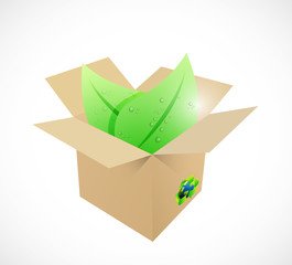 eco leaves inside a box business graph chart
