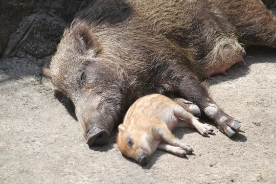 360_F_64383061_YftdI4QGAUn6jgL