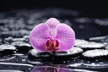 Gordijnen tranquil spa scene-pink orchid with black stones © Mee Ting