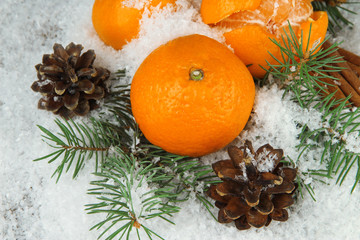 Fototapeta na wymiar Ripe tangerines with fir branch in snow close up