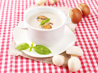 Mushroom soup in white pot, on napkin background