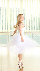 Beautiful balerina dancing in ballet class © Africa Studio