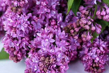 Beautiful lilac flowers background