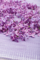 Lilac flowers on wooden background close up