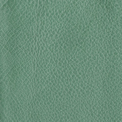 green leather texture