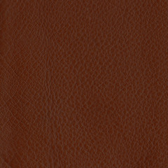 Fototapeta premium brown leather texture