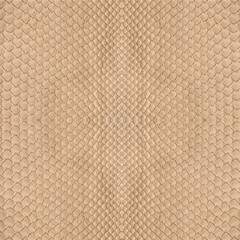 beige snake skin texture