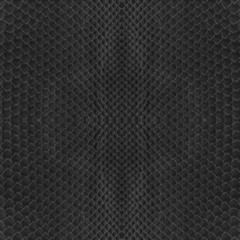 black snake skin texture